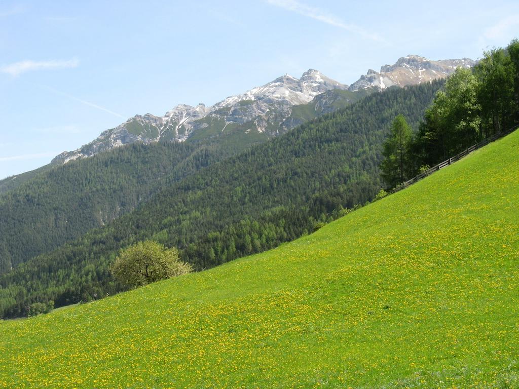 Ferienwohnung Halder Neustift im Stubaital Exteriör bild