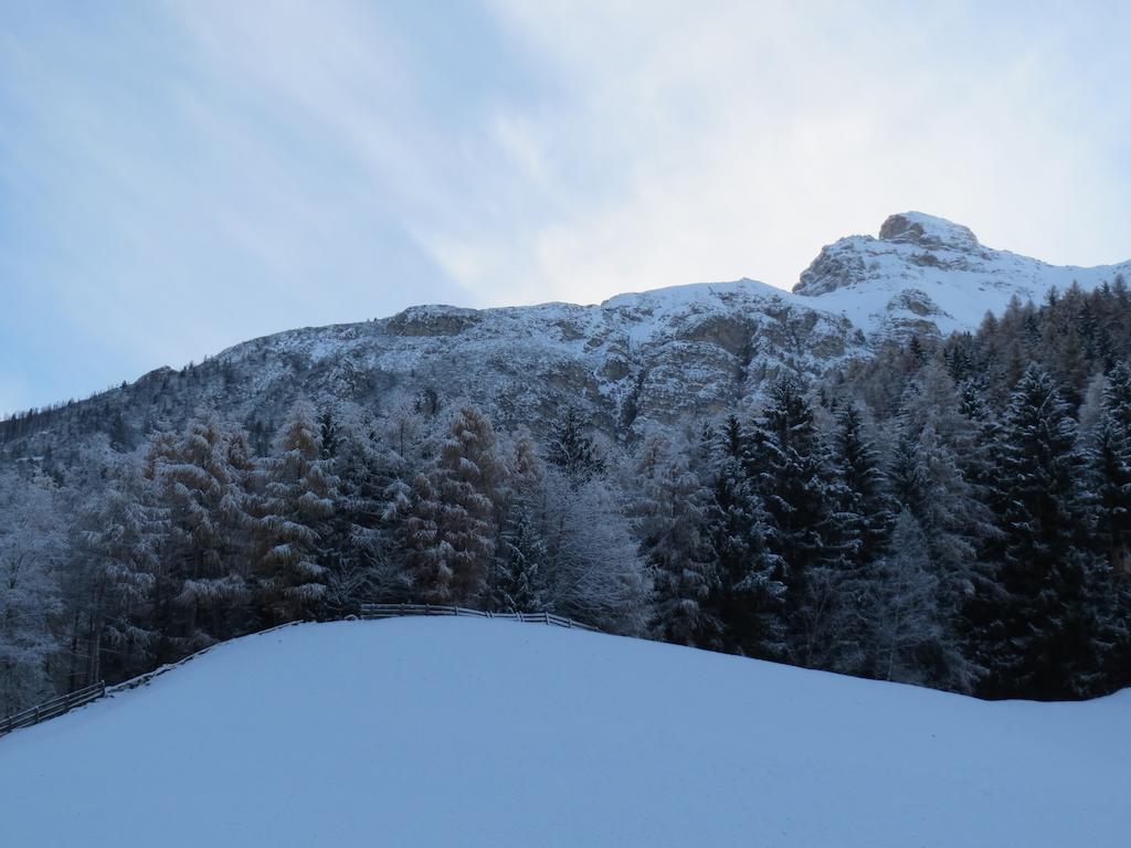 Ferienwohnung Halder Neustift im Stubaital Exteriör bild
